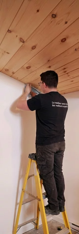 Technicien dans une échelle